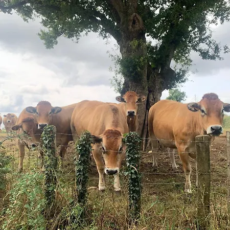 Апартаменты Au Calme En Gatine Deux-sevrienne