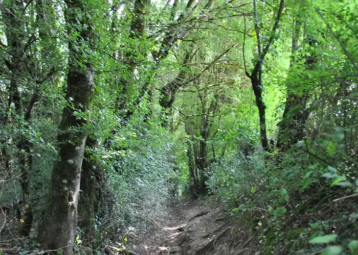 Au Calme En Gatine Deux-sevrienne Lägenhet Vouhe (Deux-Sevres)
