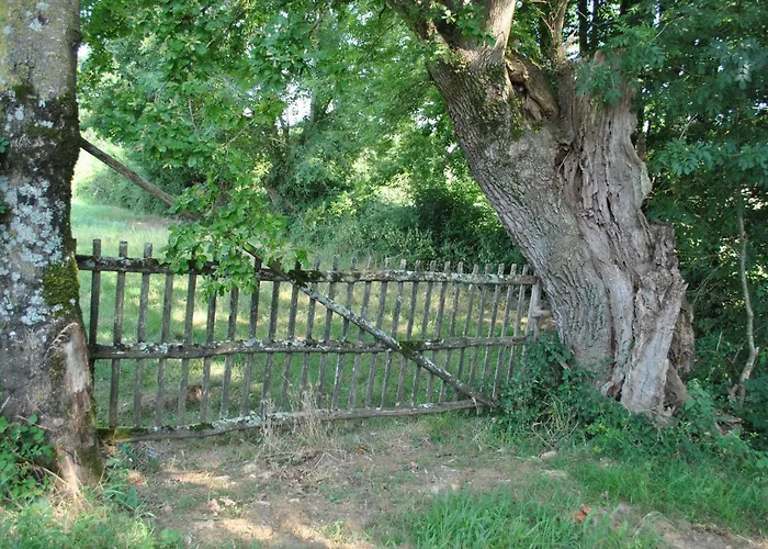 Lägenhet Au Calme En Gatine Deux-sevrienne Vouhe (Deux-Sevres)
