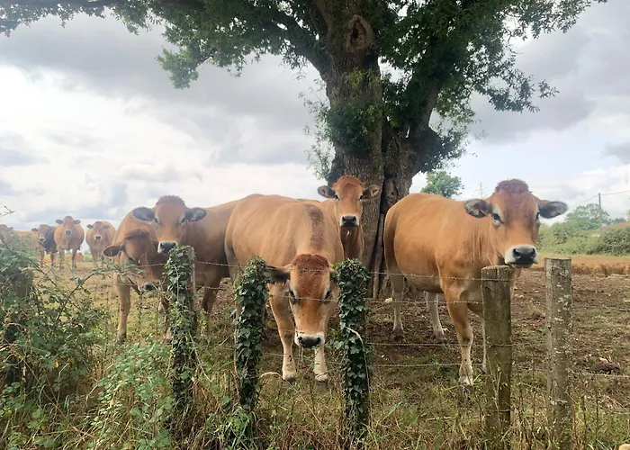 Lägenhet Au Calme En Gatine Deux-sevrienne